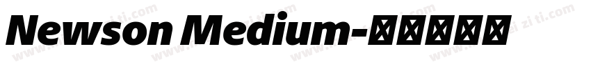 Newson Medium字体转换